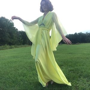 1970s bell sleeved dress